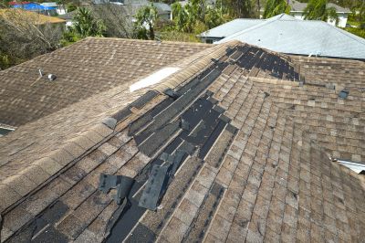 Expert Asphalt Shingle Repair - Inspection
