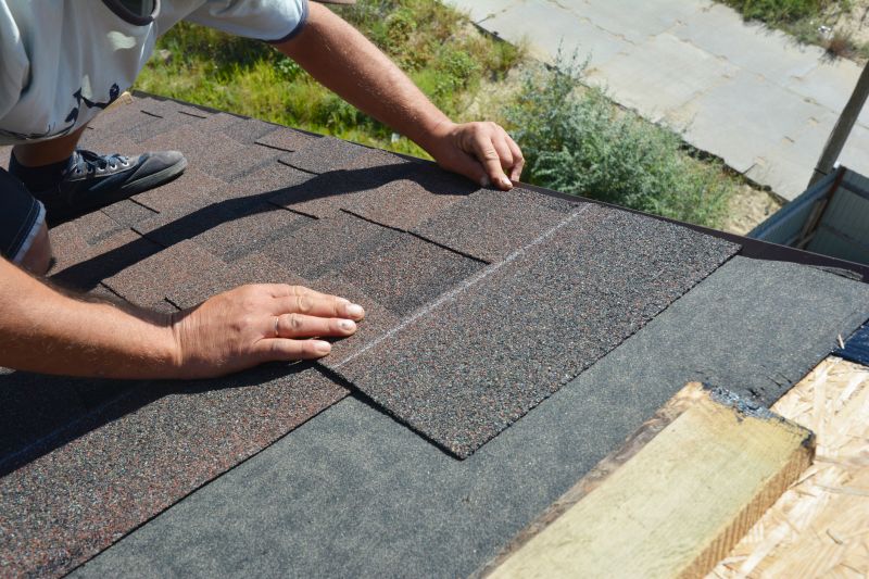 Asphalt Shingle Repair - Granule Restoration