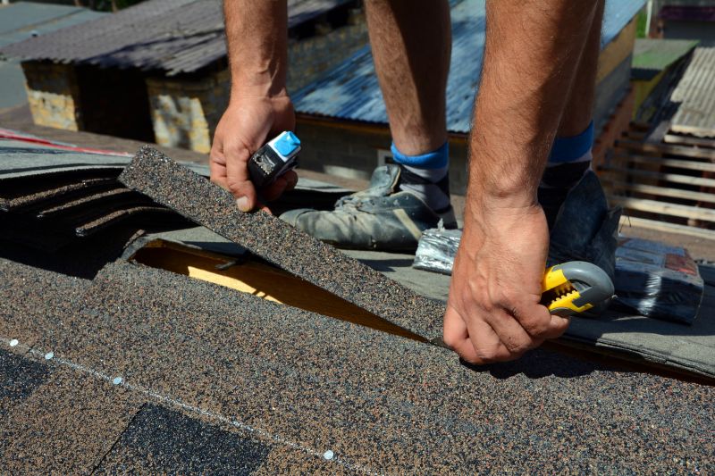 Asphalt Shingle Maintenance
